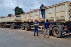 Sefa apreende mais de 47 toneladas de gergelim na cidade de Dom Eliseu
