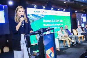 Estado e BNDES apresentam oportunidades de negócios para empresários de hotéis e restaurantes, com foco na COP 30