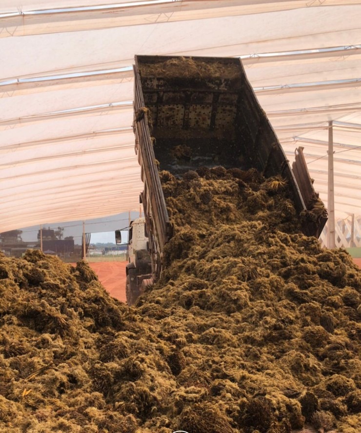 Grupo BBF inova com processo inédito de compostagem em escala para operações industriais sustentáveis no Pará
