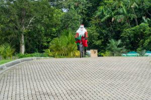 Parque Estadual do Utinga terá programação natalina gratuita no sábado (23)