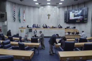 Brasileiros irão eleger mais de 58 mil vereadores em 2024; confira salários e privilégios