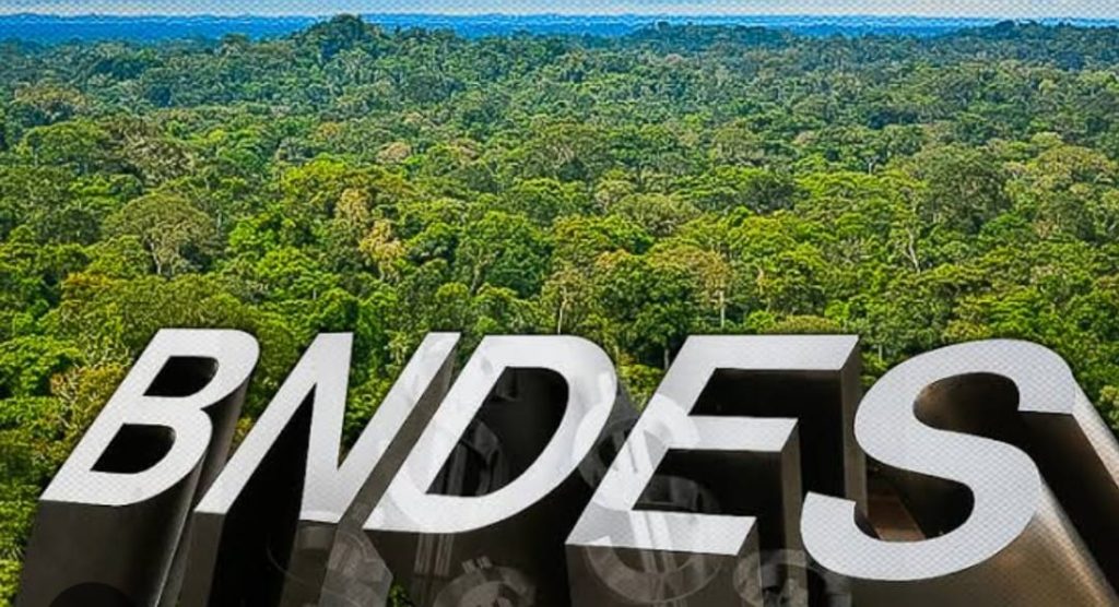 BNDES destina R$ 336 mi do Fundo Amazônia para promover agricultura familiar e alimentação escolar saudável