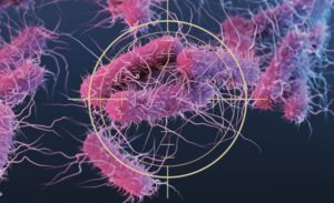 Supermicróbios: guerra na surdina e o primeiro antibiótico, a penicilina
