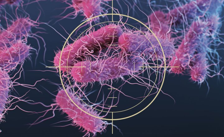 Supermicróbios: guerra na surdina e o primeiro antibiótico, a penicilina