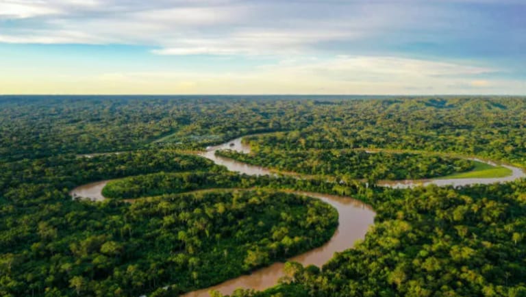 MTur celebrou o Dia Internacional da Floresta