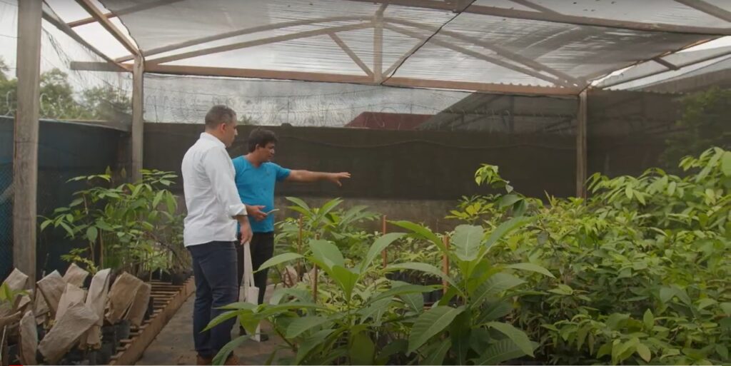 Pesquisadores da UFPA desenvolvem técnica inovadora que pode reduzir em até 20 anos restauração de áreas da floresta amazônica