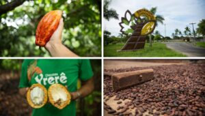Conheça destinos turísticos famosos pelo cultivo da fruta tipicamente brasileira