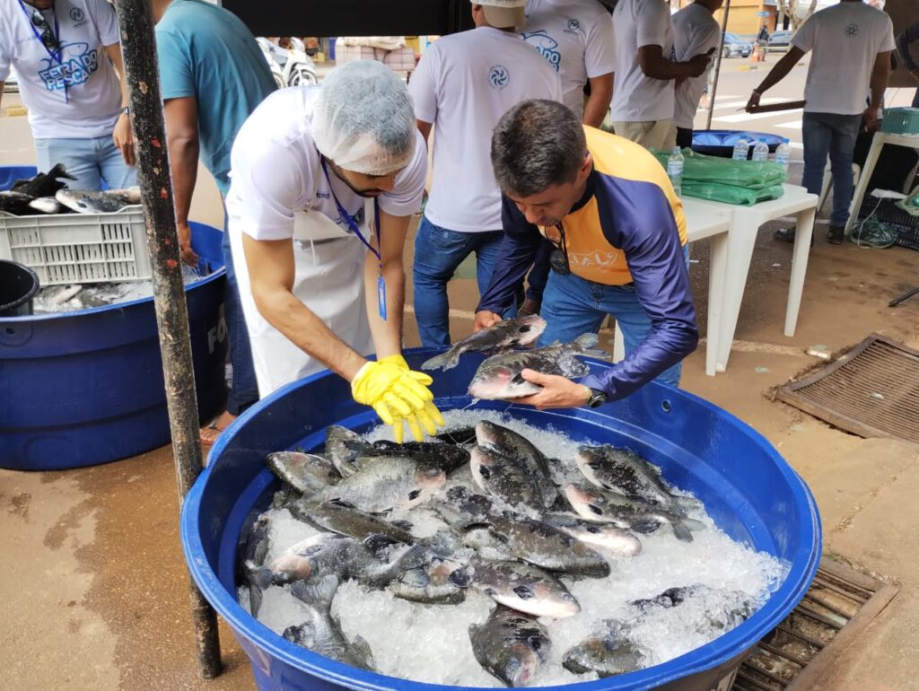 Projeto de apoio ao cultivo de pescado gera renda para indígenas e ribeirinhos e fortalece ecossistema de negócios na Amazônia