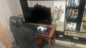 Agentes da PF capturam em Belém suspeito de armazenar pornografia infantojuvenil