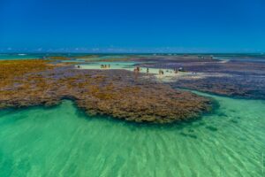 Secretaria de Turismo de João Pessoa participa do Roadshow Nordeste em Salvador, Aracaju, Maceió e Caruaru a partir de hoje