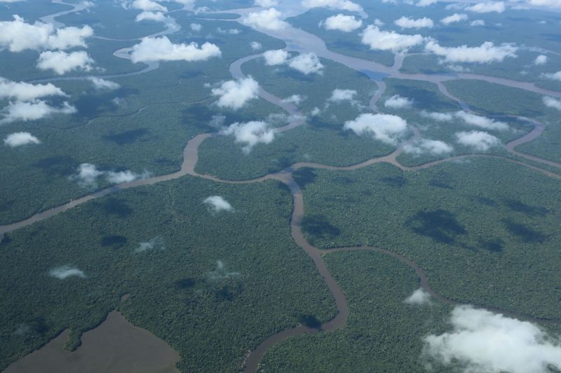 Pará registra queda de 29% nos alertas de desmatamento em maio e tem maior redução da Amazônia Legal