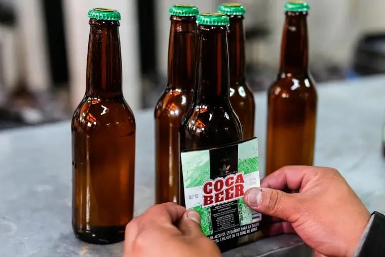Empresa boliviana lança cerveja feita a partir de folhas de coca