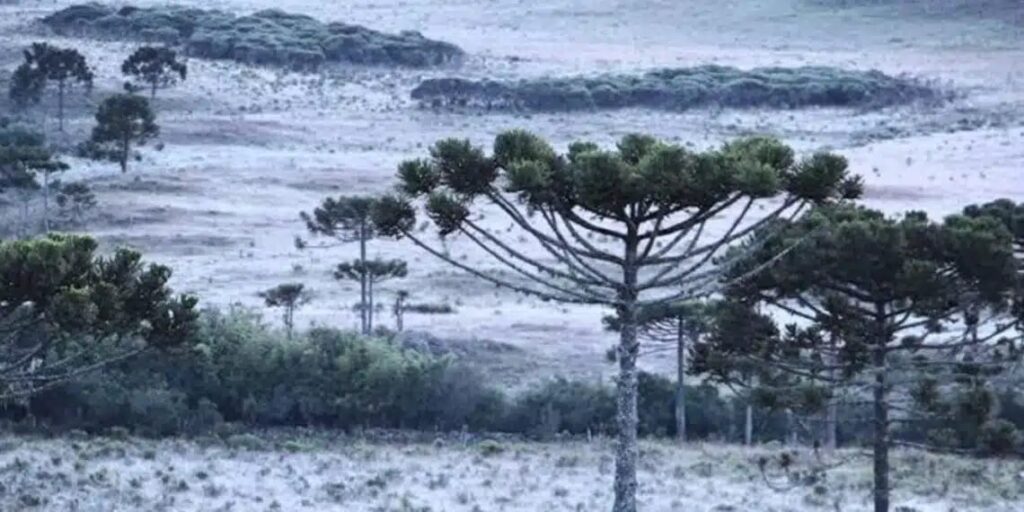 ALERTA: nova onda de frio chega e estados têm queda de temperatura nesta segunda-feira (08); veja previsão e regiões afetadas