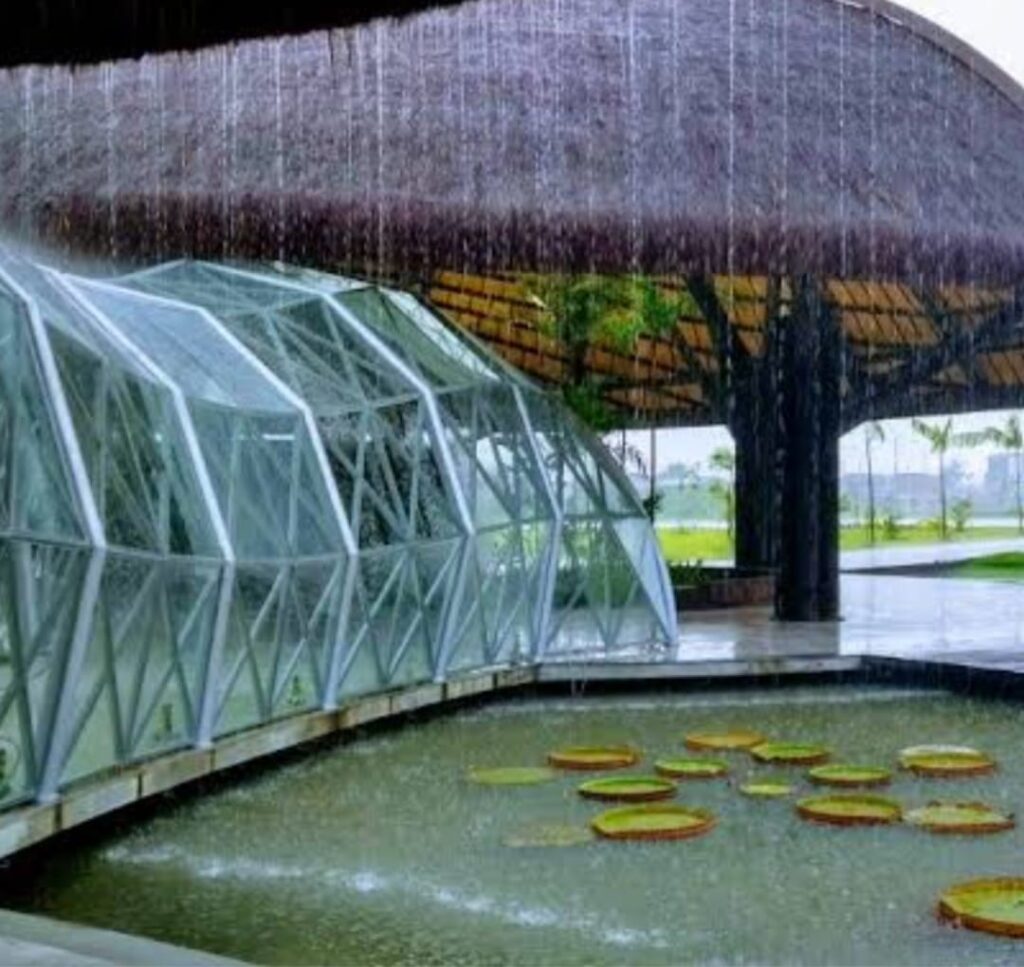 Parque do Utinga, Estação e Mangal estarão abertos no feriado da Adesão à Independência