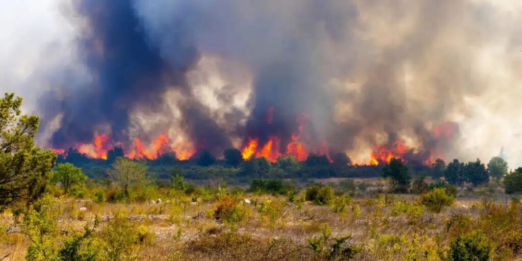 Incêndios florestais da Bolívia ameaçam Amazônia brasileira: país decreta emergência nacional