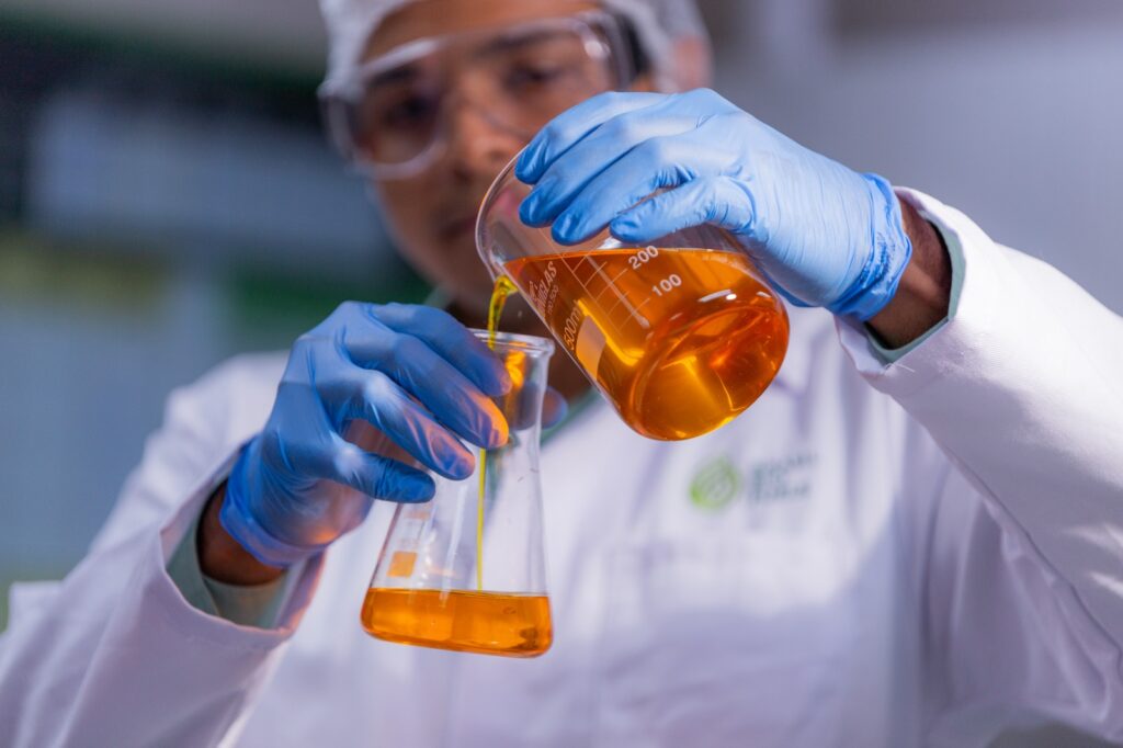 Contexto global do óleo de palma reforça a importância do cultivo sustentável no Brasil