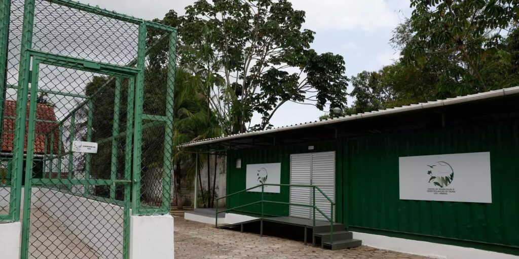 Margem equatorial: Petrobras construirá bases para tratar fauna marinha; Pará já tem uma Instalação de Belém