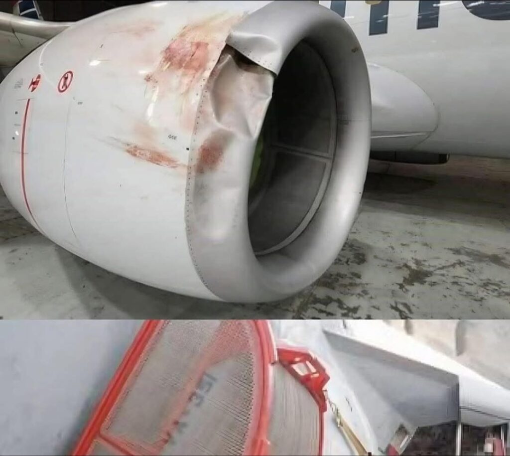 Por que os motores de aviões não têm telas de proteção contra colisões com pássaros?