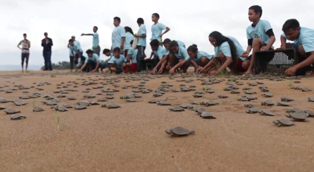 Alunos da rede municipal de Vitória do Xingu participam da soltura de 3.275 mil quelônios no rio