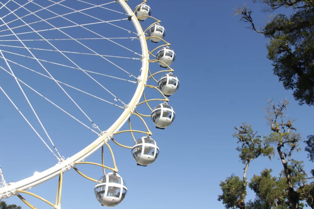 Roda Canela lança promoção de verão com ingressos a preços reduzidos