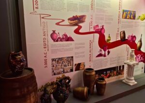 MUSEU DO VINHO – Um mergulho de corpo e alma no mundo dos vinhos
