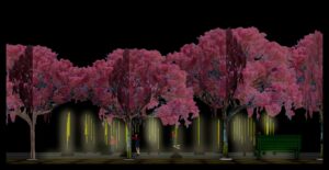 Canela Light Fest iluminará Canela com arte e tecnologia