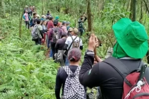 Setur promove em Marituba curso de formação de condutores de trilhas e caminhadas