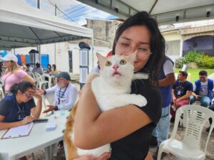 Crimes contra animais terão multa dobrada em Belém
