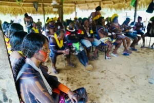 Caravana dos Povos Indígenas Rumo à COP 30 estará em São Félix do Xingu