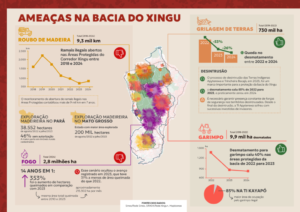 Exploração ilegal de madeira dispara e ameaça florestas e comunidades na Bacia do Xingu