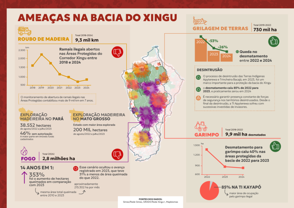 Exploração ilegal de madeira dispara e ameaça florestas e comunidades na Bacia do Xingu