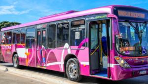 Descubra cidades brasileiras onde é possível fazer passeios guiados gratuitamente