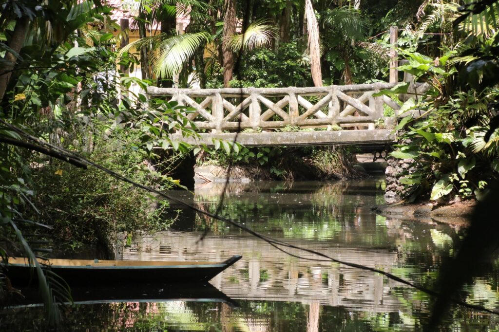 Bosque Rodrigues Alves tem gratuidade todo último fim de semana do mês