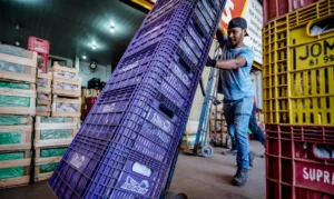 Renda média dos brasileiros chega a R$ 3.057, diz IBGE