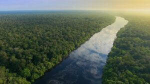 Evento discute descarbonização da Amazônia Legal e papel estratégico do setor nuclear