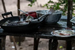 Gastronomia e sustentabilidade se unem em comunidades da Floresta Estadual do Trombetas