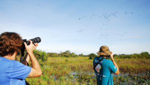 Ministério do Turismo anuncia resultado de edital para mapeamento do Turismo de Observação de Aves no Brasil