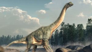 Fóssil revela mistério dos dinossauros ‘pescoçudos’