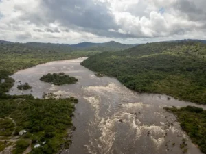 Audiência pública vai debater novas áreas protegidas estaduais na Ilha do Marajó