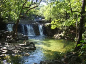 Nova trilha valoriza biodiversidade e saberes tradicionais na Serra das Andorinhas, em São Geraldo do Araguaia