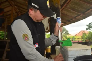 Adepará destaca prazo final para vacinação obrigatória contra a raiva em 50 municípios