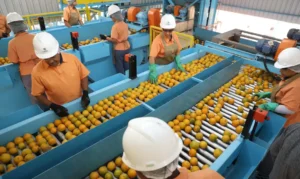 Confira a lista de quase 700 produtos que não serão taxados pelos EUA