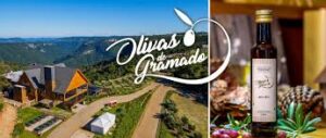 Olivas de Gramado é premiado na Itália