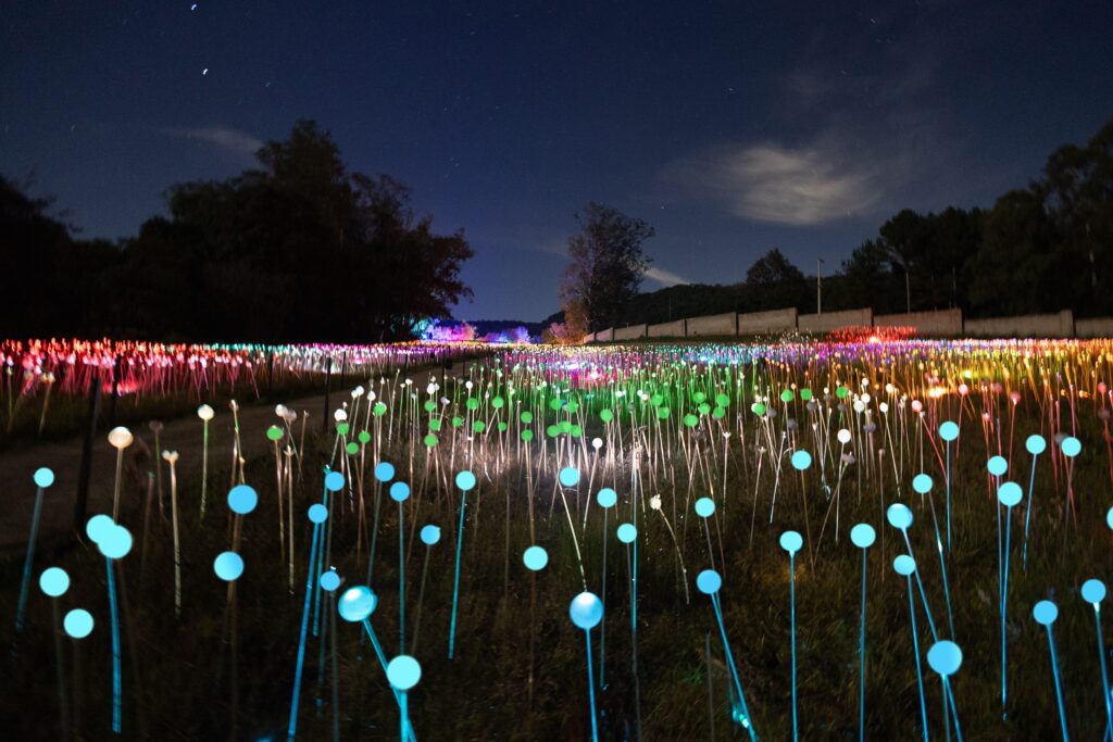 Lumni Experience Gramado lança desafio inédito: “O Enigma”