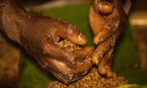 Grileiros ameaçam pesquisadores do Incra em Goiás