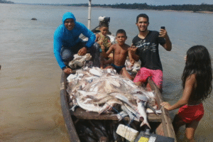 Hidrovia Araguaia-Tocantins e o progresso que quer calar o rio