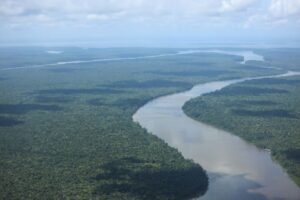 Pará registra em agosto menor índice histórico em alertas de desmatamento, com redução de 61%