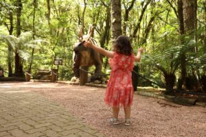 Passaporte Dreams reúne atrações icônicas da Serra Gaúcha em uma única experiência para o turista