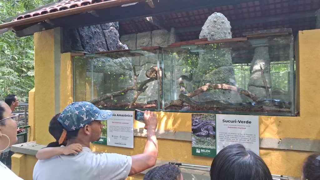 Bosque faz aniversário com novo espaço, Cap30 e 10 mil visitantes