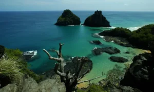Quase 50% dos turistas usam redes como fonte de informação de viagem